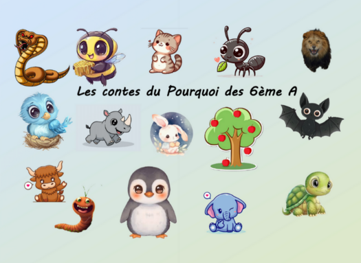 Capture d'écran 2026-02-01 183745.png